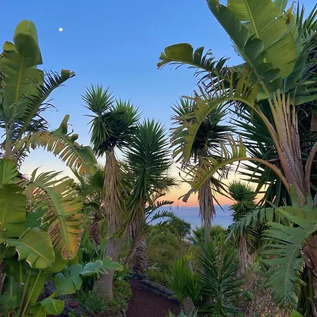 Tenerife - Authentisches Kanarisches Haus Mit Traumblick, Tropischem Garten Und Sauna Prázdninový dům